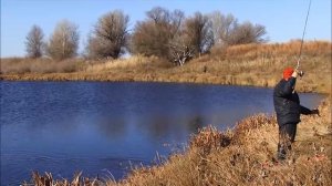 Ловля окуня на Ахтубе в октябре