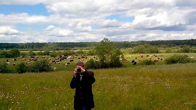 пастух - цыган Иван смотреть онлайн