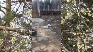 Берегите планету от мусора  Март 2021