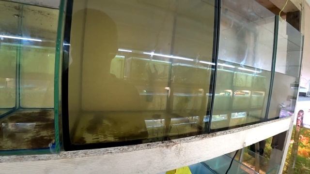 Как книжка пишет смотреть онлайн