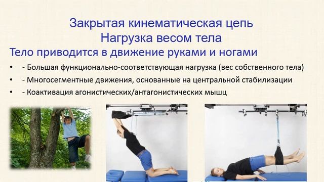 Рефлекс и рефлекторная дуга