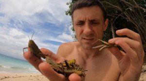 Выжить любой ценой. Подводная охота на гавайку будет завтра. Выживание на необитаемом острове №2