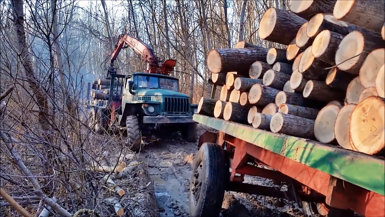 Лесовозы и Самосвалы работают в тяжелых условиях бездорожья | Грузовики в деле