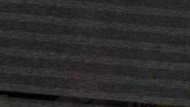 Amelia Rueda y Camelia Llanta juntas... смотреть онлайн