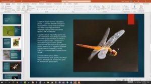 Что такое бионика.