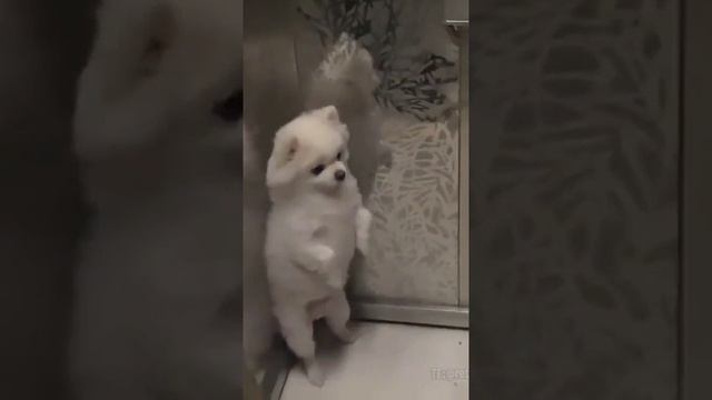 Мейк ми фил бетте