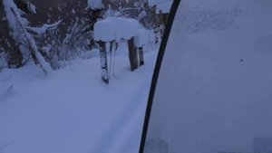 ЖИВУ С КОШКОЙ И СОБАКОЙ В ИЗБУШКЕ ЗИМОЙ / СПАС КУСОК ИЗОЛЕНТЫ В ТАЙГЕ / ОХОТА НА ГЛУХАРЯ В МОРОЗ -3