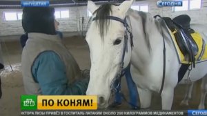 В одной из школ Ингушетии для старшеклассников ввели занятия верховой ездой