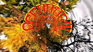 ФотоШоу PRO!!! Проекты ФотоШоу PRO! Проект 127 Осенние Цветочные веера 2!!!