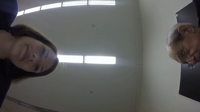 Академик РААСН И.Г. Лежава на консультации по проекту «Жилой район» смотреть онлайн