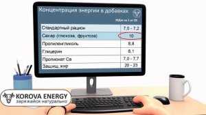 Сравнение составов. Энергетик для коров после отела Korova Energy.