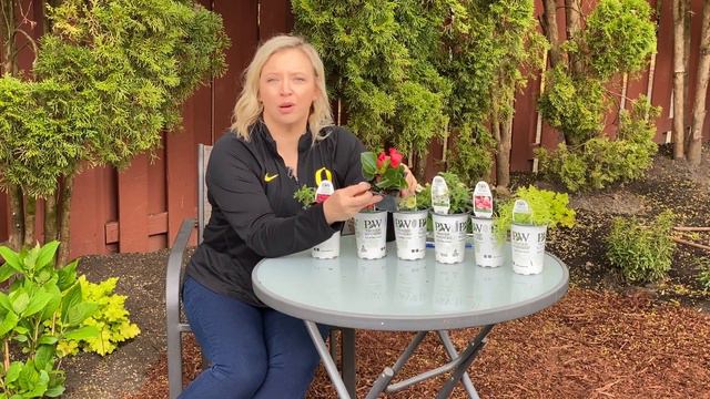 A Huge Plant Haul! смотреть онлайн