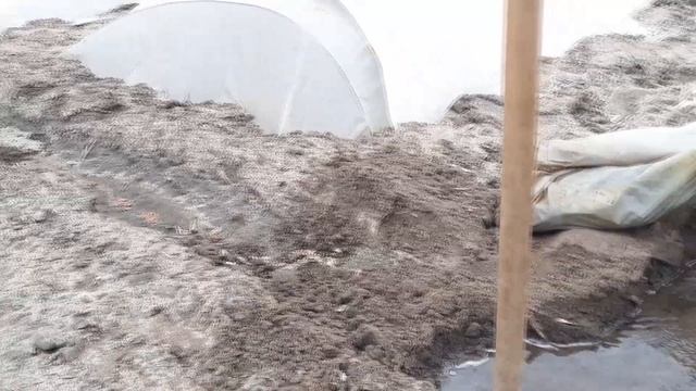 Полив огорода без капли. смотреть онлайн