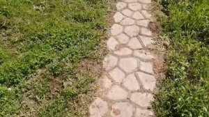 перья съёмная машинка для ощипывания домашней птицы