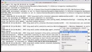 Monitor artifacts using Micro Integrator Dashboard, WSO2 Micro Integrator