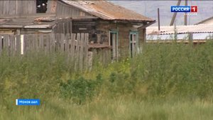 На берегу Красноярского водохранилища в районе села Мохово замечена большая змея