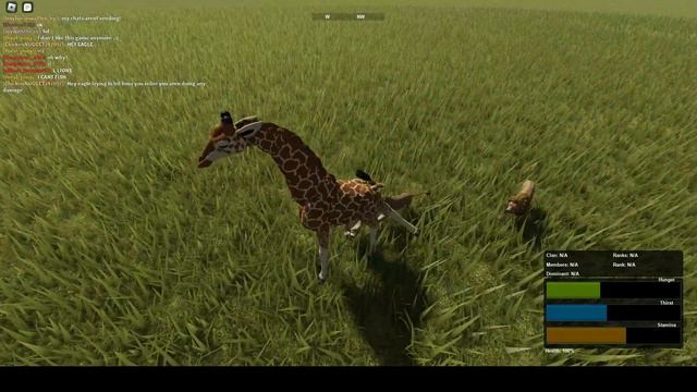 Lions Dying Compilation #1 - Wild Savannah смотреть онлайн