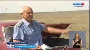 В Астраханской области бушует опасный карантинный сорняк.mp4