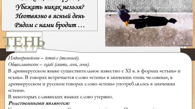 17 10 Этимология слов смотреть онлайн