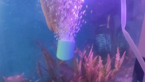 Распылитель для аквариума