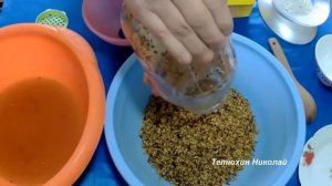 Свой мицелий. От грибов до посевного