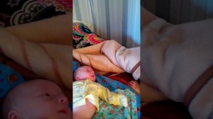 Разговор тети с племянником