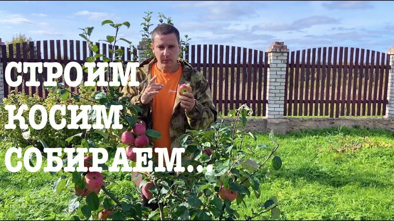 #133. Огород радует. Новые вольеры для птицы. [Жизнь на своей земле] смотреть онлайн