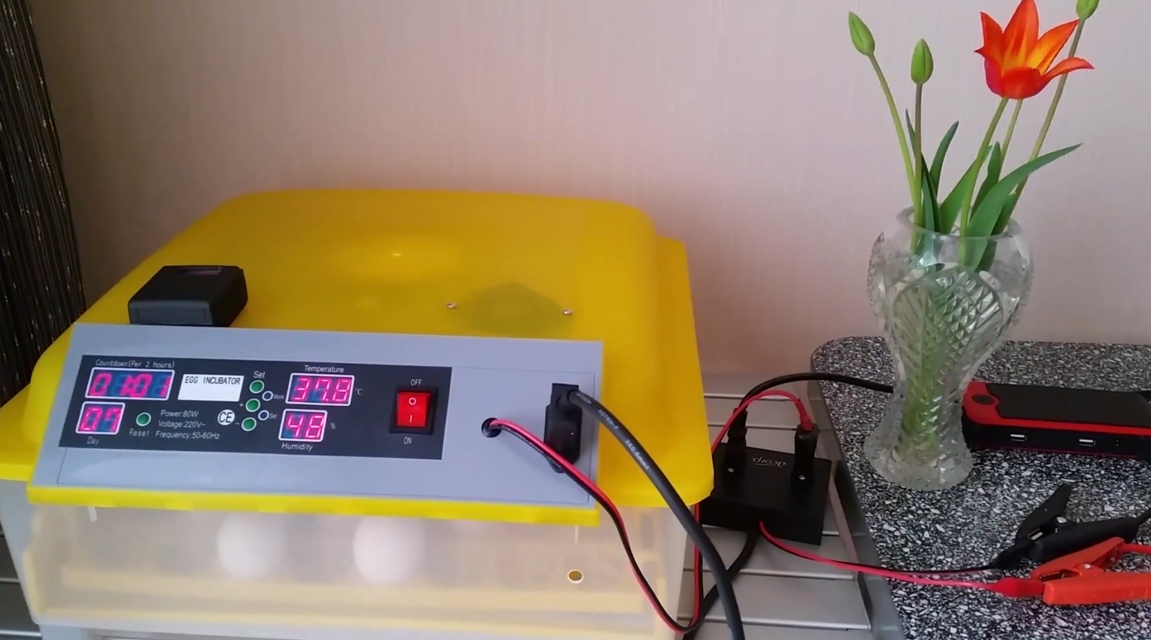 Инкубатор смотреть онлайн