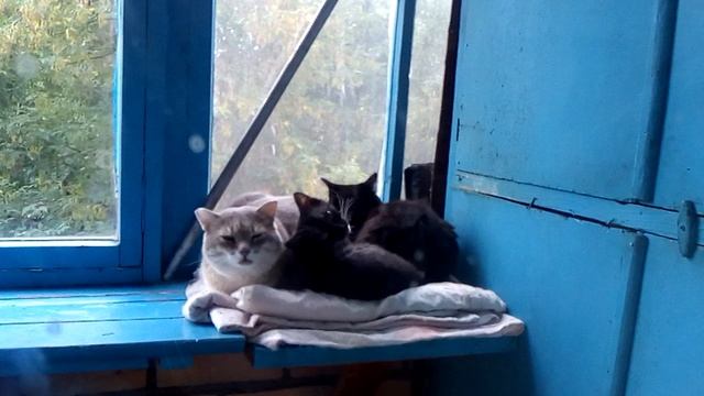 VID_20220822_144134.mp4