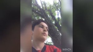 Как сделать домик из плёнки на дереве. Часть 1