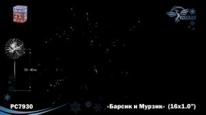 Фейерверк РС7930 "Мурзик и барсик" (1" х 16 залпов)