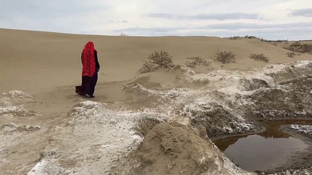 Золотые пески Ногайского района...