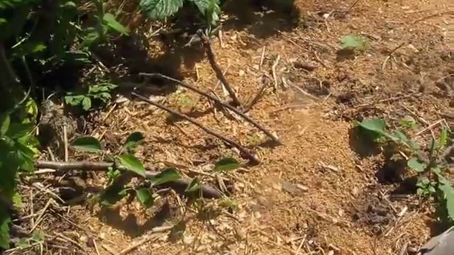 Видеоответ на оскорбление смотреть онлайн