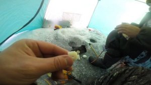 рыбалка на белоярке!!!