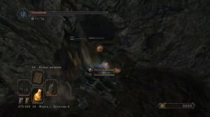 Dark Souls 2 Орнифекс