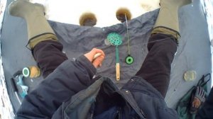 Две любимых насадки плотвы на зимней рыбалке, бешеный клёв рыбы на мормышку