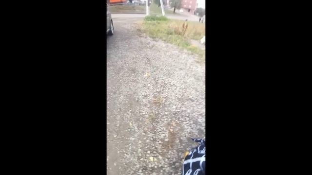 Влог