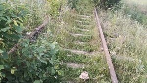 Заброшенная Ж/Д в пгт.Медная Шахта