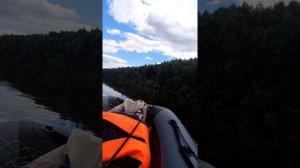 Адмирал 320 и китайская ЯМАХА 9.9 (Jet Marine)