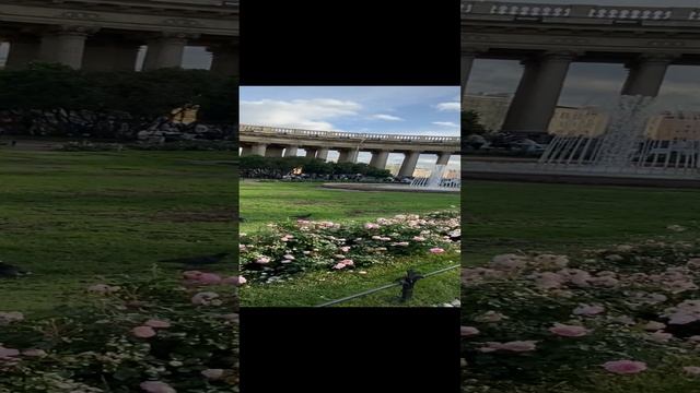 Казанский собор в Петербурге #shorts #питер #красота #путешествия