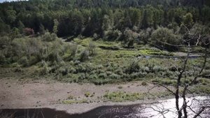 Оленьи ручьи. Природный заповедник.