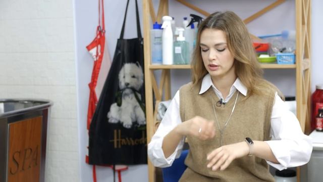 ОКАЗЫВАЕТСЯ, Я ДЕЛАЛА НЕ ПРАВИЛЬНО??! ЭТО должны знать все владельцы собак!ТОП - 5 ошибок в уходе смотреть онлайн