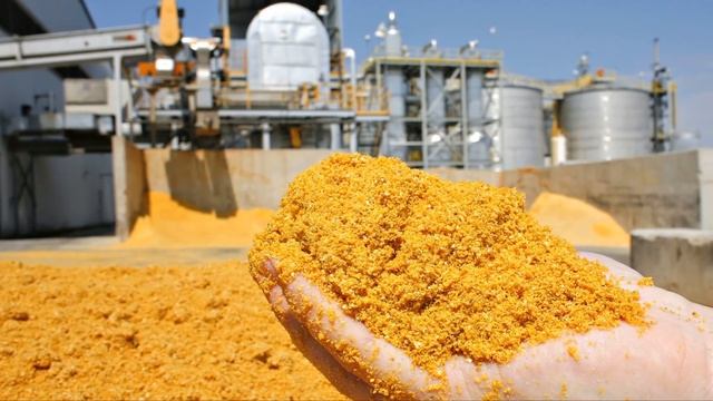 Завод по глубокой переработке зерна построят в Красноярском Крае смотреть онлайн