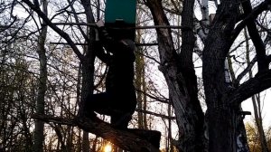В какие ловушки лучше попадаются бродячие рои. Ловушки (три в одном месте)