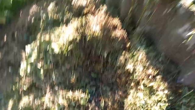 Горячий компост из газонной травы недавно скошенной газонокосилкой смотреть онлайн