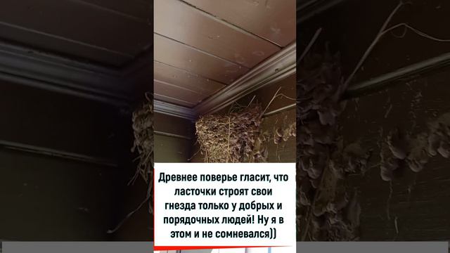 Нас выживают из собственного дома? Или это дружеский визит?