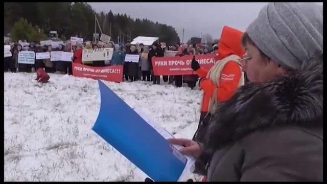 новости 5 ноября