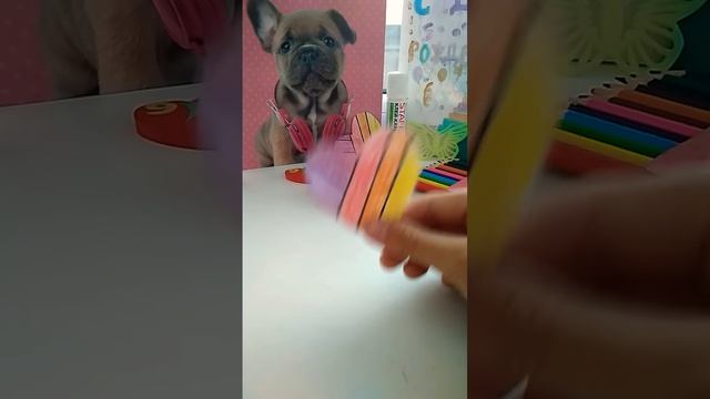 Наклейка на скейт смотреть онлайн