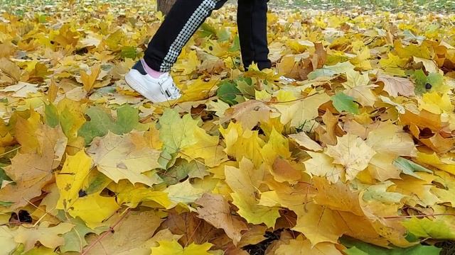 осень золотая|золотая осень|стих|стихи про осень|осень