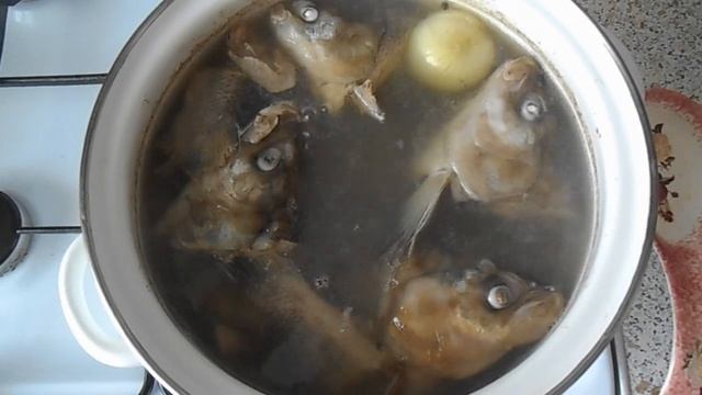 Уха из горбуши и голов муксуна, язя и щекура.